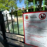 Ataque mortal en el estanque de la Alameda: un pato asesinado y otro gravemente herido